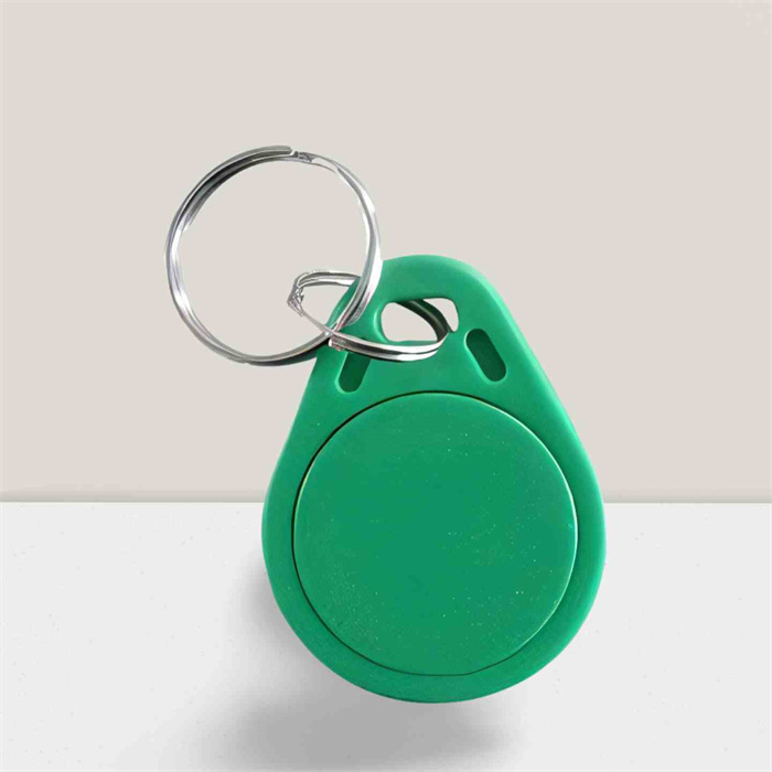 Ntag213 RFID Key Fob